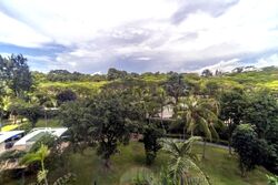 Costa Del Sol (D16), Condominium #563210471